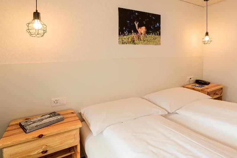 Jungfrau Lodge Swiss Mountain - Oda