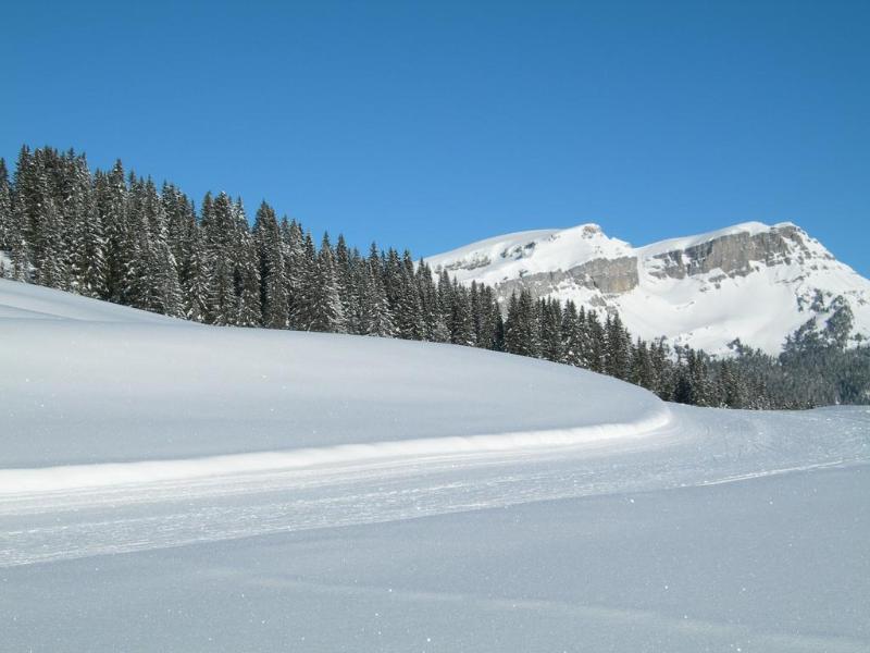 Crystal Interlaken - Genel