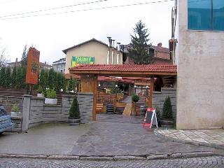 Vitoshko lale fotoÄŸrafÄ±