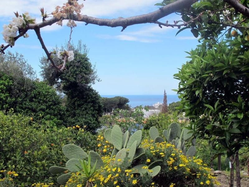 Residence Villa Marinù - Genel