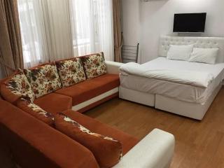 Ayasofya Deluxe Apart fotoÄŸrafÄ±