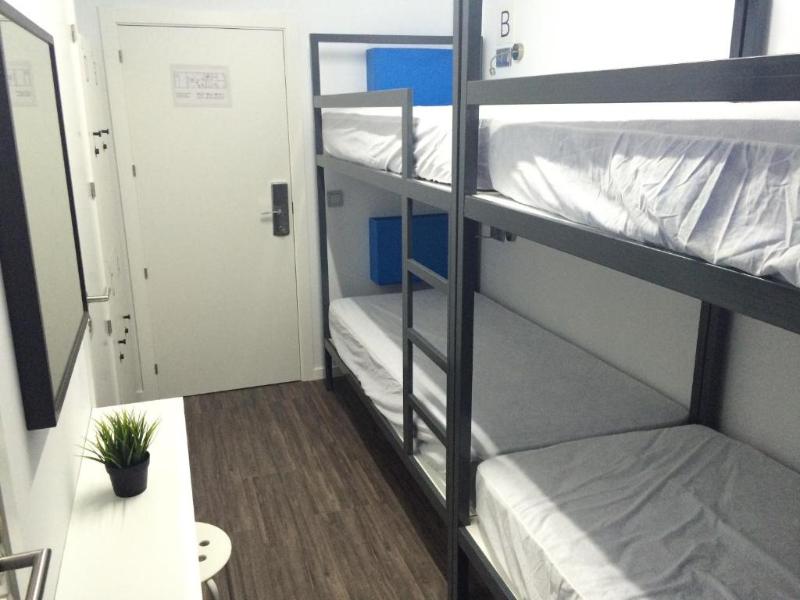 Chameleon Hostel Alicante - Oda