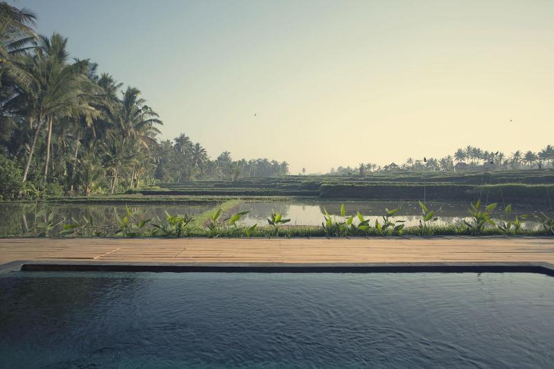 Manyi Village - Aktivite
