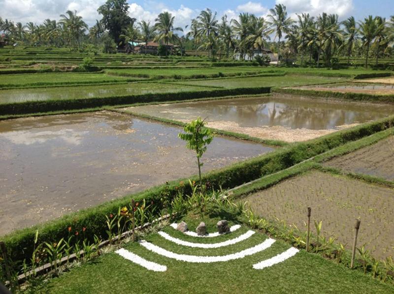 Manyi Village - Aktivite