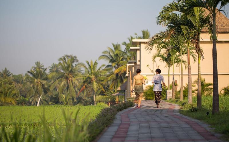 Manyi Village - Genel