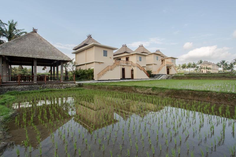 Manyi Village - Genel