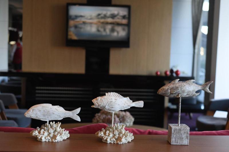 Baliktasi City Otel - Genel