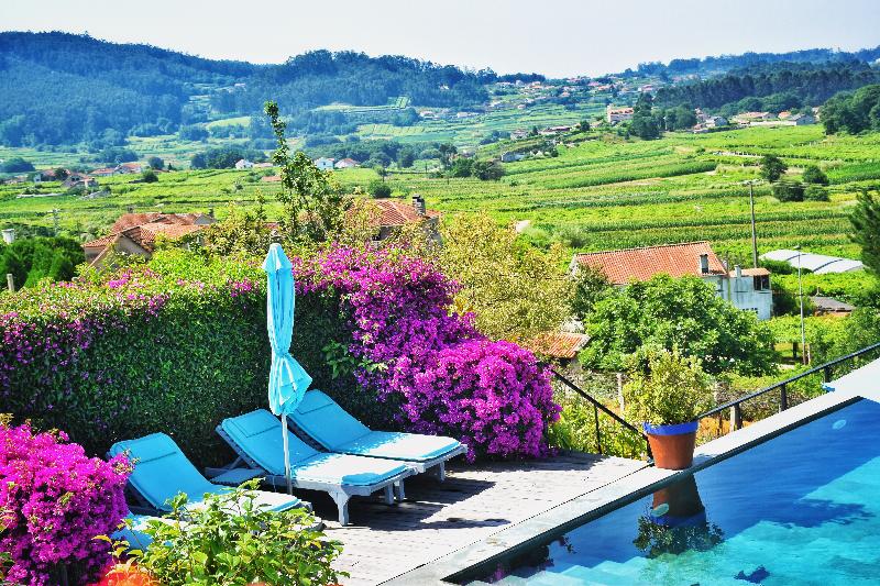 Quinta de San Amaro - Havuz