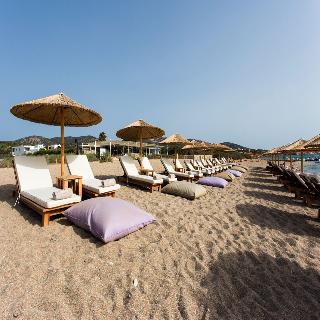 Soros Beach fotoÄŸrafÄ±
