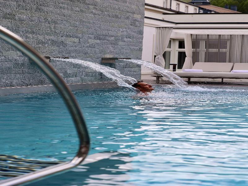 Kempinski Grand Hotel des Bains - Havuz