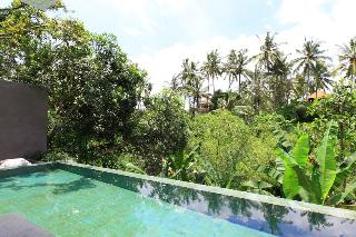 Aria Villas Ubud otel fotoğrafı