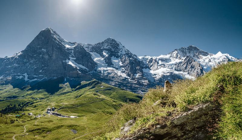 Hotel Silberhorn - Genel