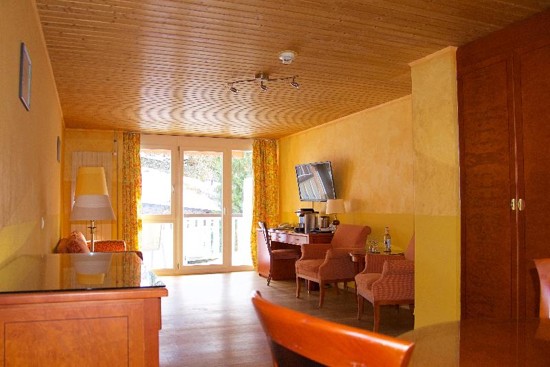 Hotel Silberhorn - Oda
