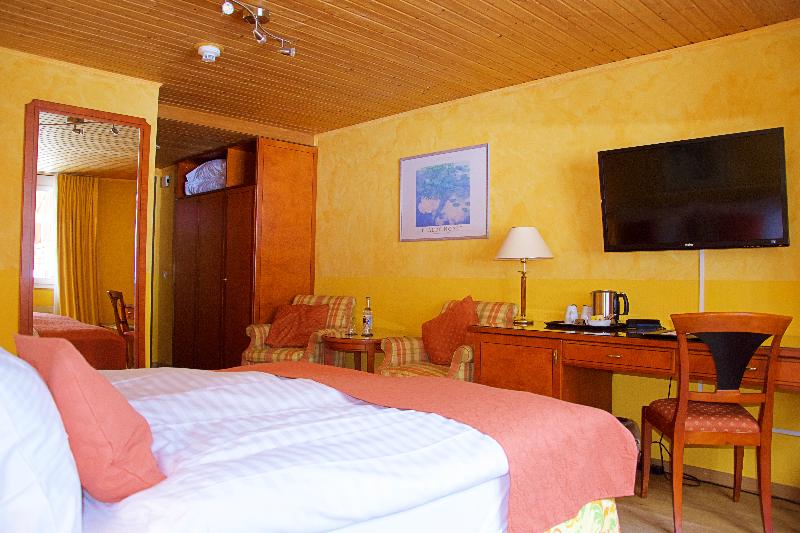 Hotel Silberhorn - Oda
