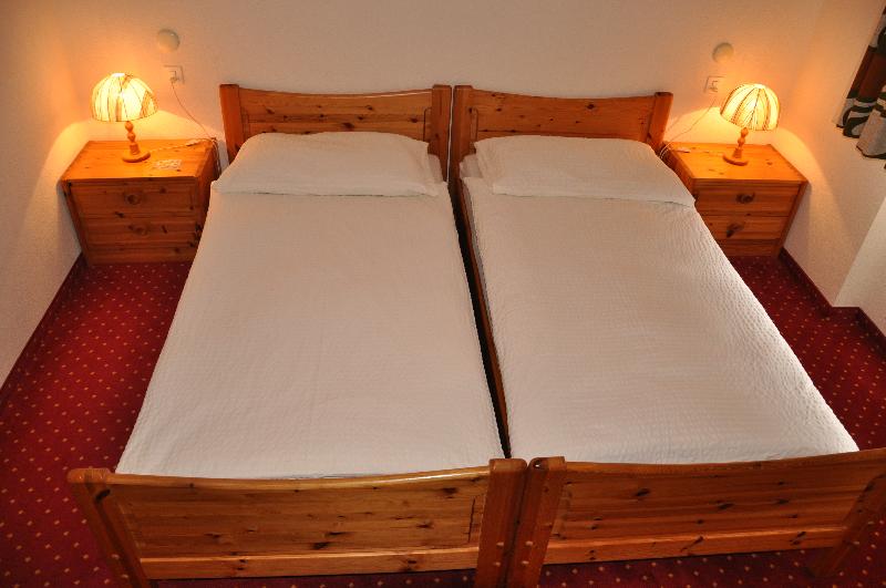 Hotel Silberhorn - Oda