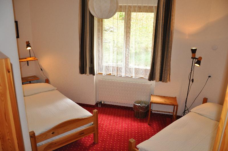 Hotel Silberhorn - Oda