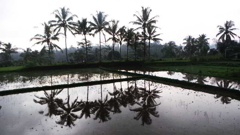 Villa Kemuning fotoÄŸrafÄ±