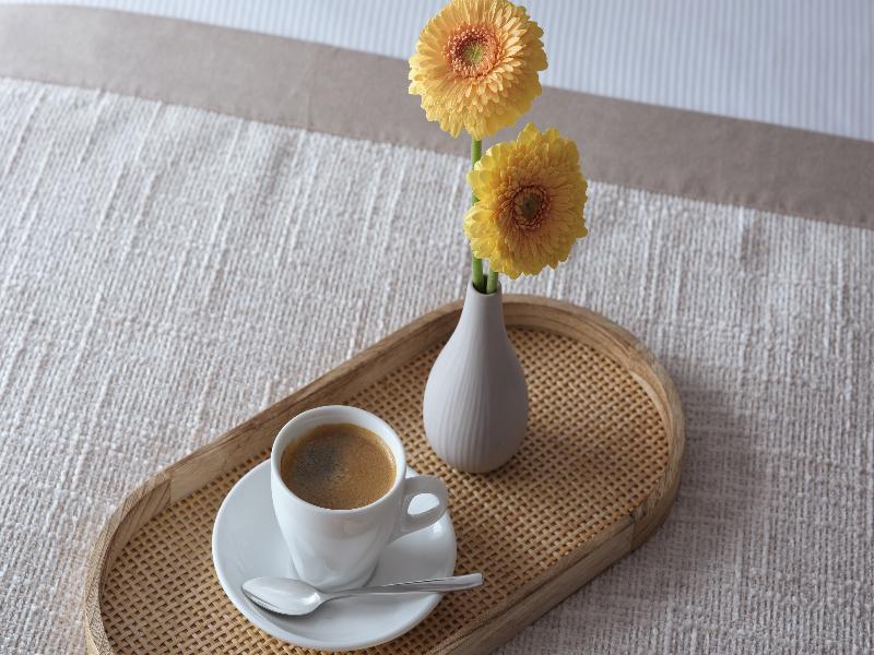 Leonardo Boutique Hotel Rigihof Zurich - Oda