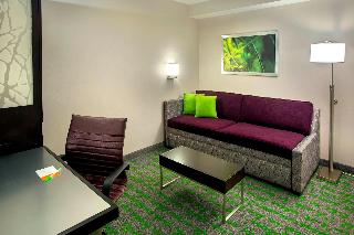 SpringHill Suites New York Midtown Manhattan 5thAv fotoÄŸrafÄ±