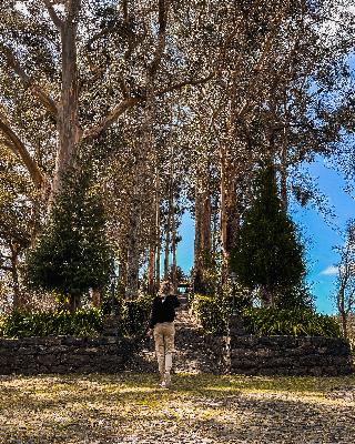 Hotel Quinta da Serra - Bio Hotel fotoÄŸrafÄ±