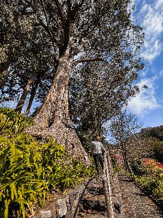 Hotel Quinta da Serra - Bio Hotel fotoÄŸrafÄ±