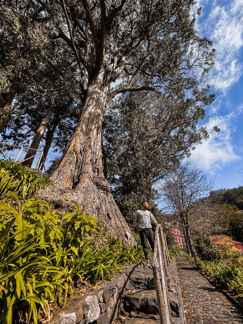 Hotel Quinta da Serra - Bio Hotel - Genel