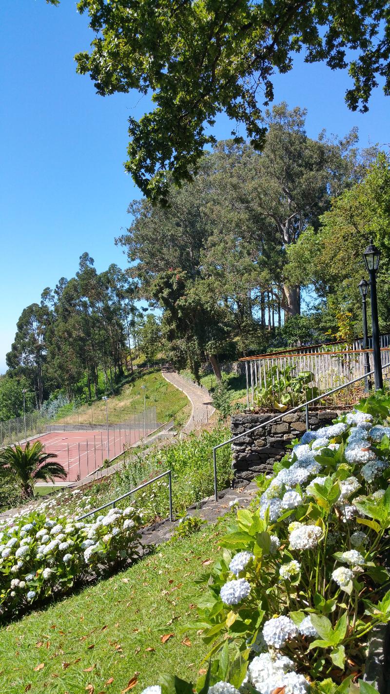 Hotel Quinta da Serra - Bio Hotel - Genel