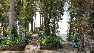 Hotel Quinta da Serra - Bio Hotel fotoÄŸrafÄ±