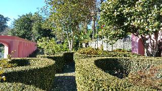 Hotel Quinta da Serra - Bio Hotel fotoÄŸrafÄ±