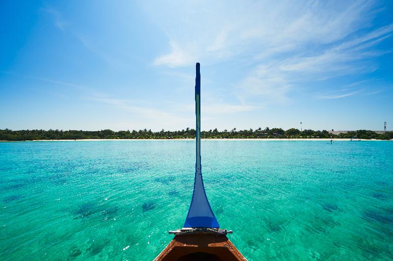The Barefoot Eco Hotel - Genel