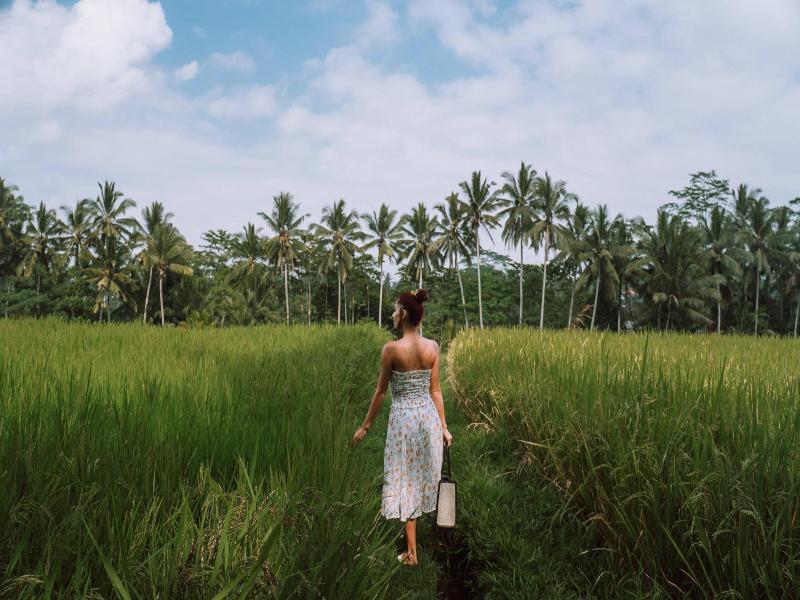 The Kayon Resort Ubud - Genel