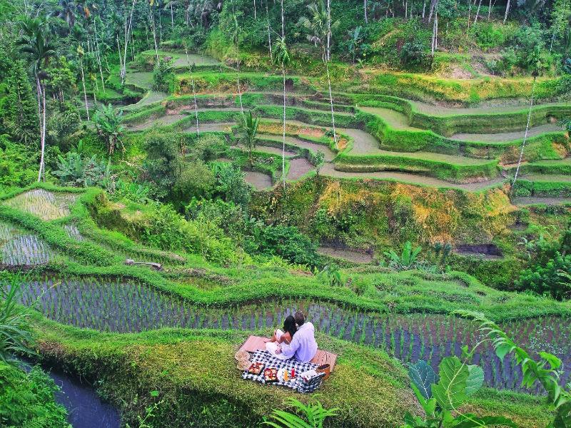 The Kayon Resort Ubud - Genel