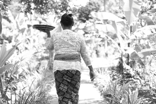 Ubad Retreat Ubud fotoÄŸrafÄ±