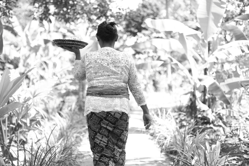 Ubad Retreat Ubud - Genel