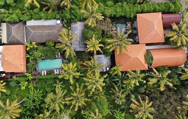 Ubad Retreat Ubud - Genel