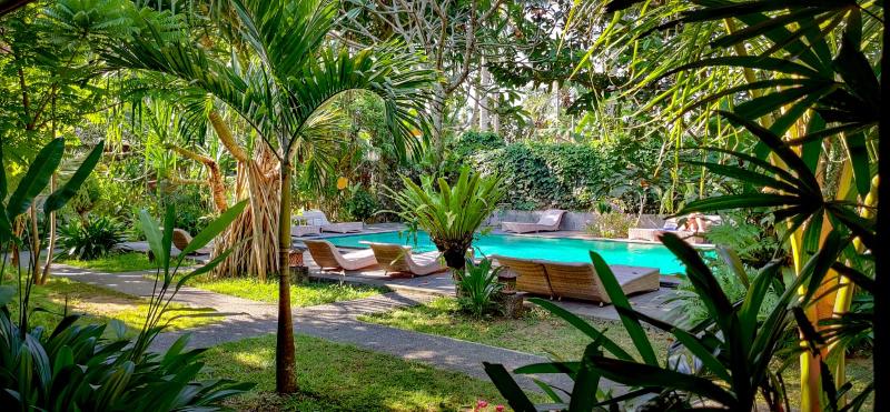 Ubad Retreat Ubud - Havuz