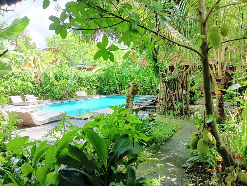 Ubad Retreat Ubud - Havuz