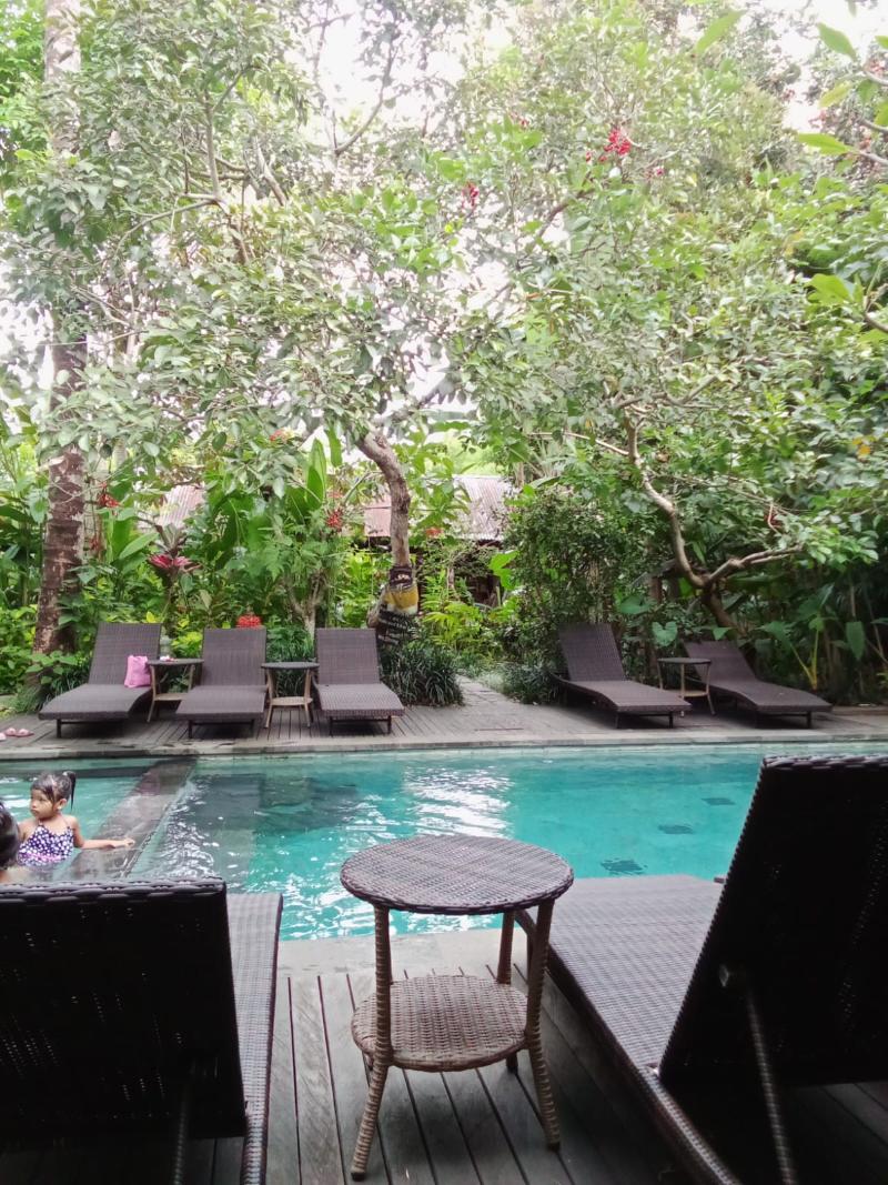 Ubad Retreat Ubud - Havuz