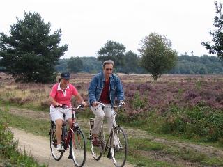 Bastion Hotel Apeldoorn Het Loo fotoÄŸrafÄ±
