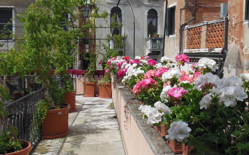 Sant Antonin - Oda