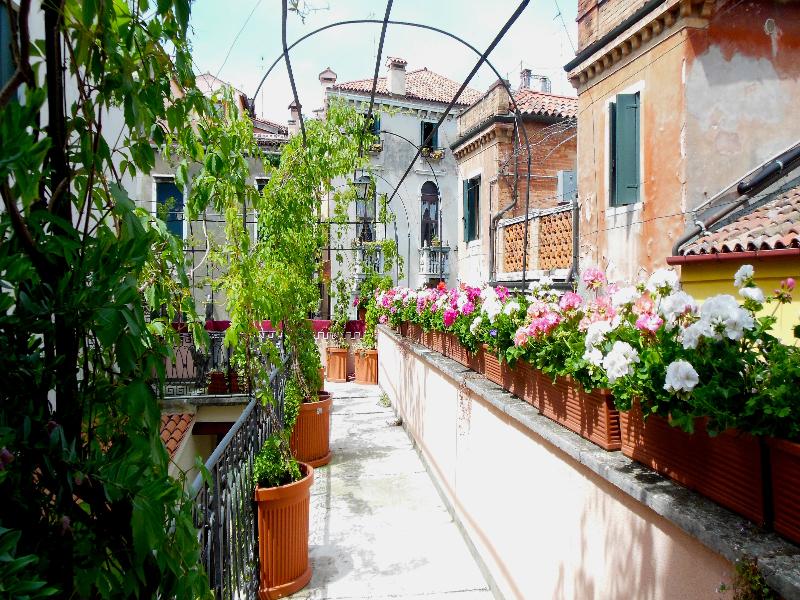 Sant Antonin - Oda
