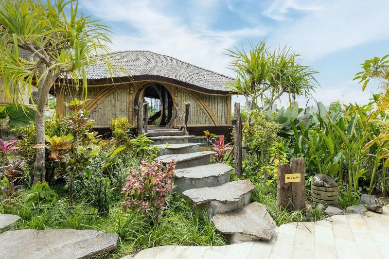 Samanvaya Bali - Genel
