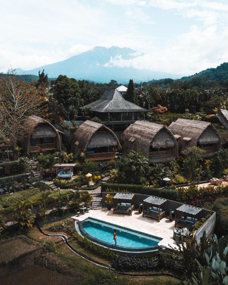 Samanvaya Bali - Genel
