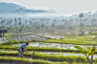 Samanvaya Bali fotoÄŸrafÄ±