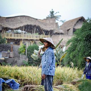 Samanvaya Bali fotoÄŸrafÄ±