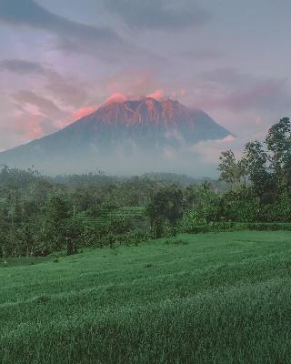Samanvaya Bali fotoÄŸrafÄ±