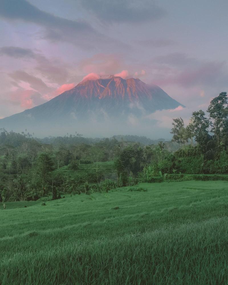 Samanvaya Bali - Genel