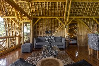Samanvaya Bali fotoÄŸrafÄ±