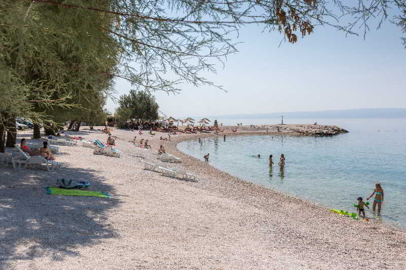 Olivier fotoÄŸrafÄ±