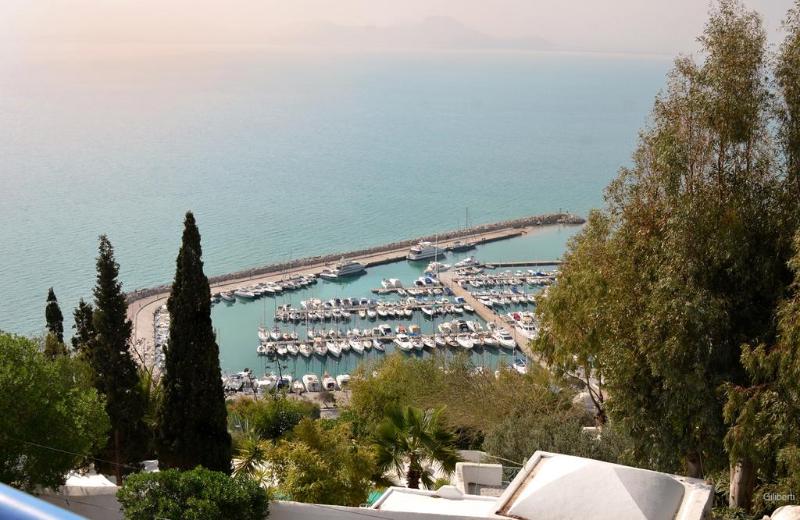 La Villa Bleue - Genel